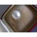 South Sea Pearl -What a bargain!!!