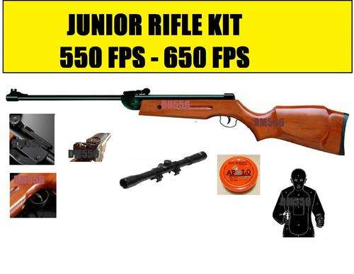 JUNIOR AIR RIFLE 550FPS WITH 4X20 SCOPE PELLETS TARGET  R1499.95