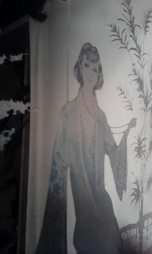 Awesome Lady with Hat motif Mirror for the young Ladies room. Size 380mm long x 280mm Wide.