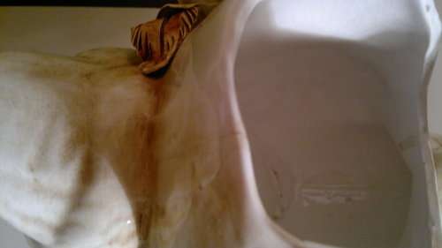 A Large Swan Vase with flower motif. Ideal for display in the lounge. In Fair to good condition.