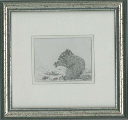 SWEET SQUIRREL.   PENCIL..............  ORIGINAL ART   Framed