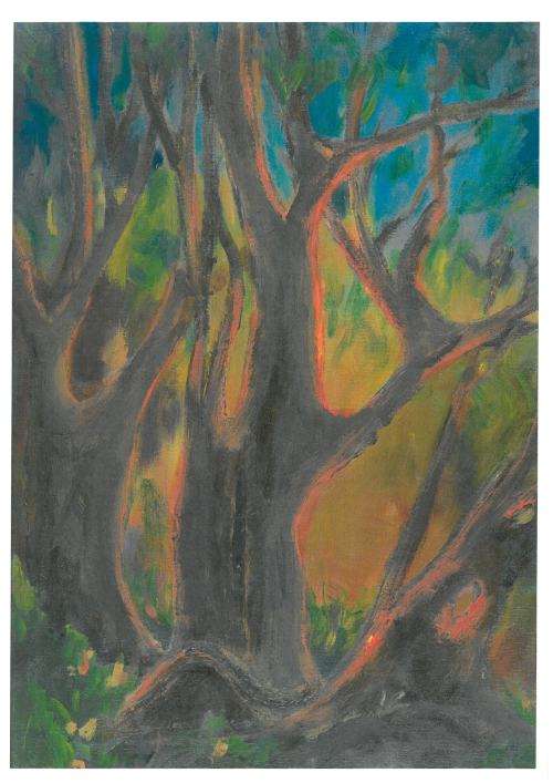 Sunset trees     Oils Canvas Board  XMAS   SALE  ...CLEARANCE