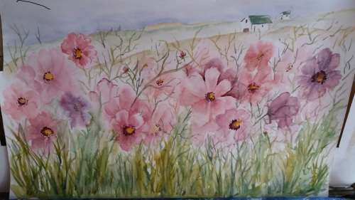 COSMOS LANDSCAPE. watercolour. @pinks and soft colours;Med size. Not framed.