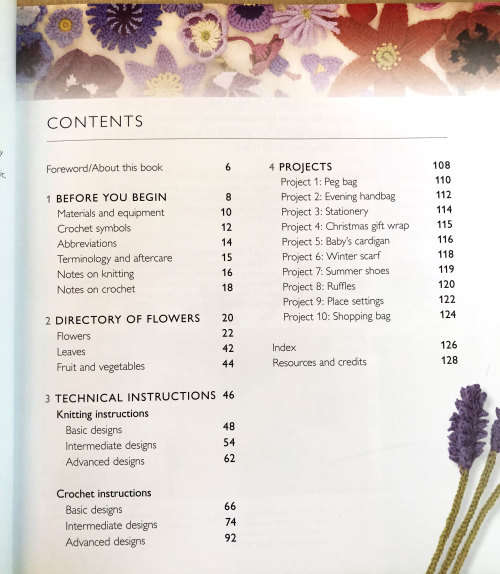 100 Flowers to Knit and Crochet by Lesley Stanfield