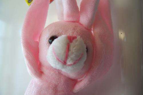 Pink Bunny Fridge magnet