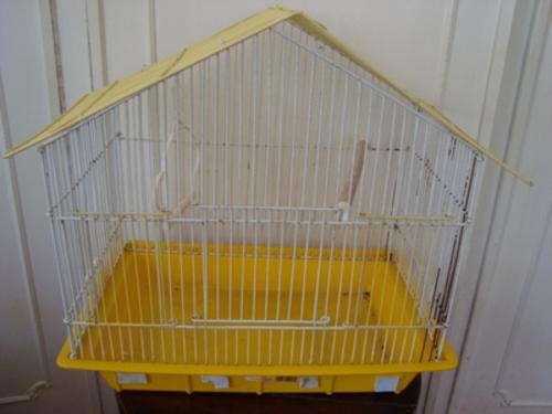 BIRD CAGE