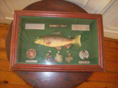 BOXED RAINBOW TROUT MODEL & ACCESORIES