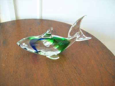 GLASS FISH