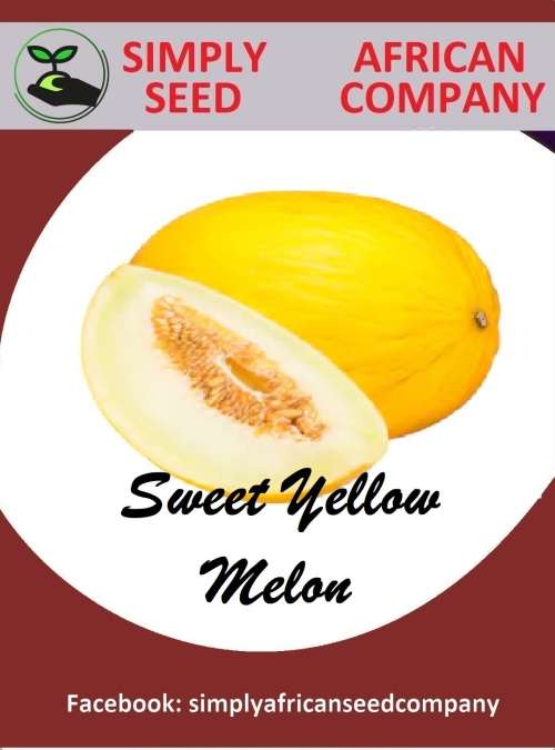 Sweet Yellow Melon Seeds