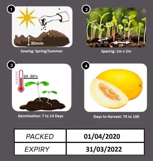 Sweet Yellow Melon Seeds