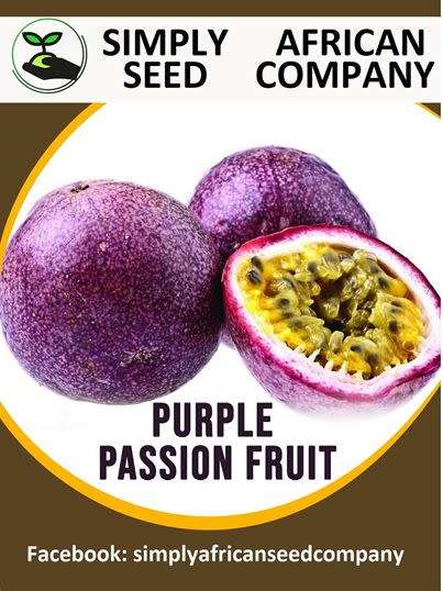 Purple Passion Fruit Seeds