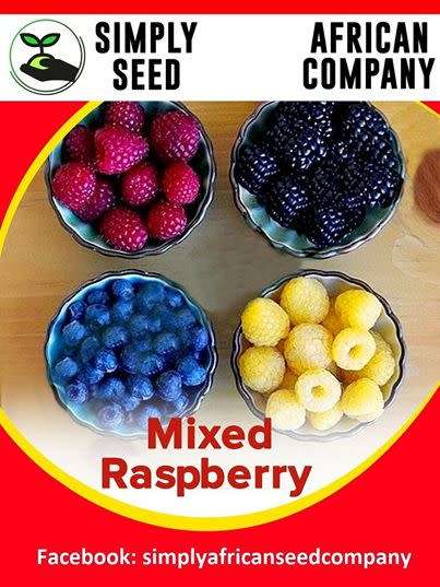 Mixed Raspberry Seeds