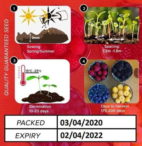 Mixed Raspberry Seeds