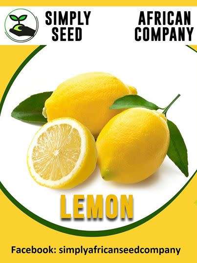 Lemon Seeds
