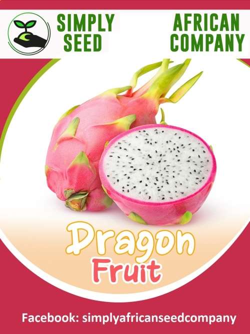 Dragon Fruit Seeds