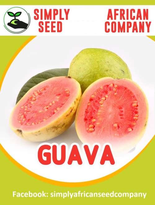 Guava Seeds