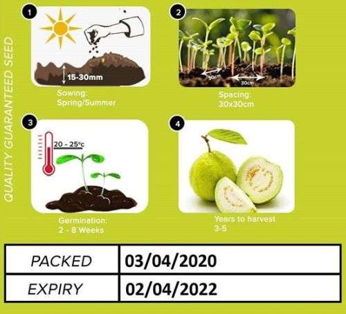 Chinese Guava (White) Seeds