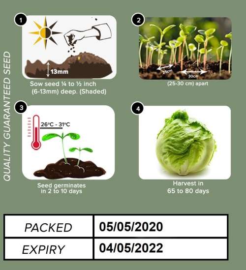 Lettuce Seeds