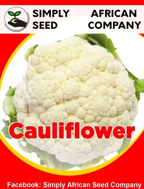 Cauliflower Seeds
