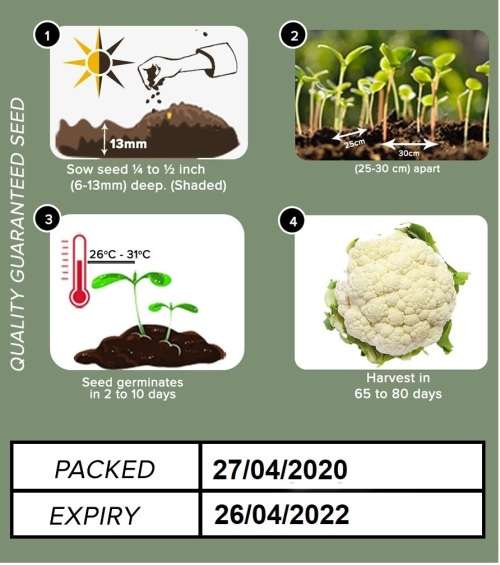 Cauliflower Seeds