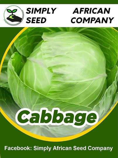 Cabbage Seeds