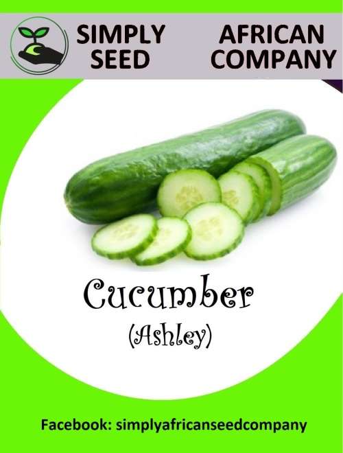 Cucumber (Ashley) Seeds
