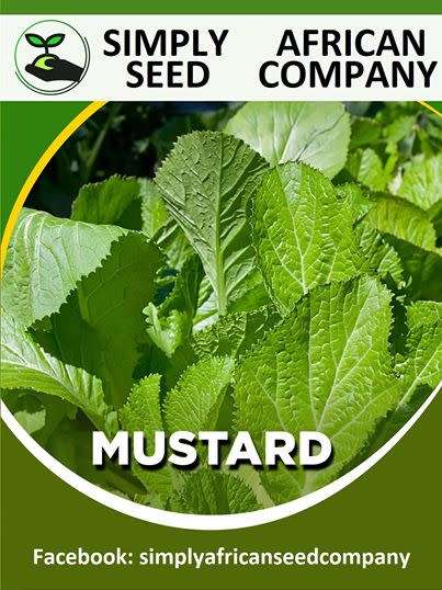 Mustard Seeds