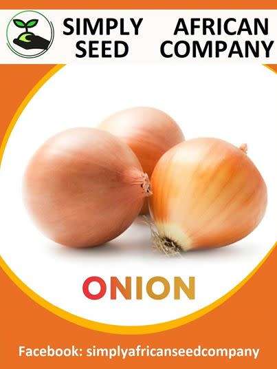 Onion Seeds