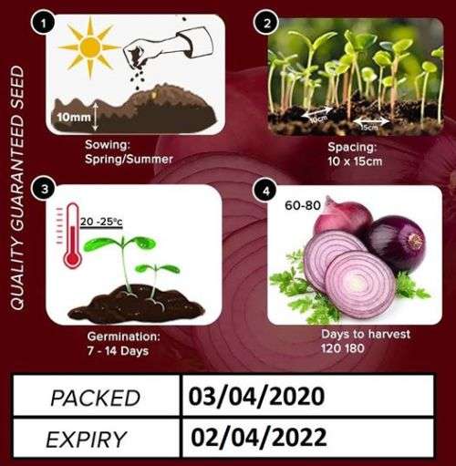 Red Onion Seeds
