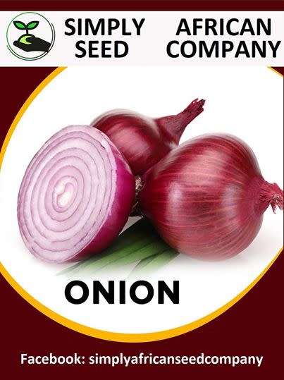 Red Onion Seeds