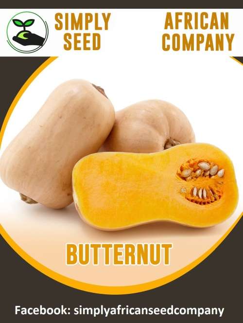 Butternut Seeds