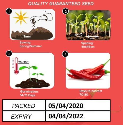 Thai Red Chilli Seeds