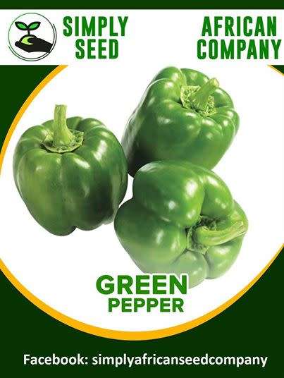 Green Pepper Seeds