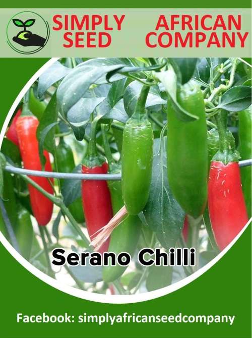 Serano Chilli Seeds