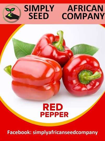 Red Pepper Seeds