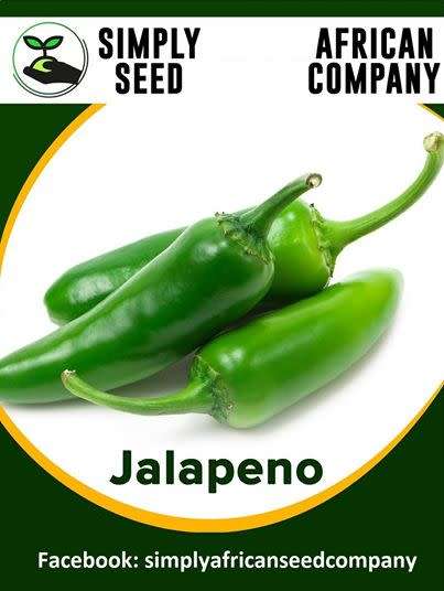 Jalapeno Seeds