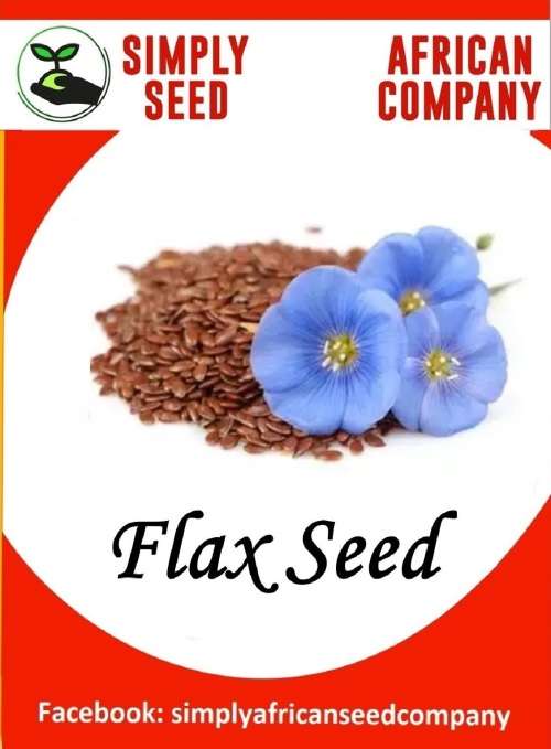 Flax Seed (Linseed) Seeds