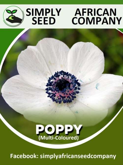 Poppy (Mixed Colours) Seeds