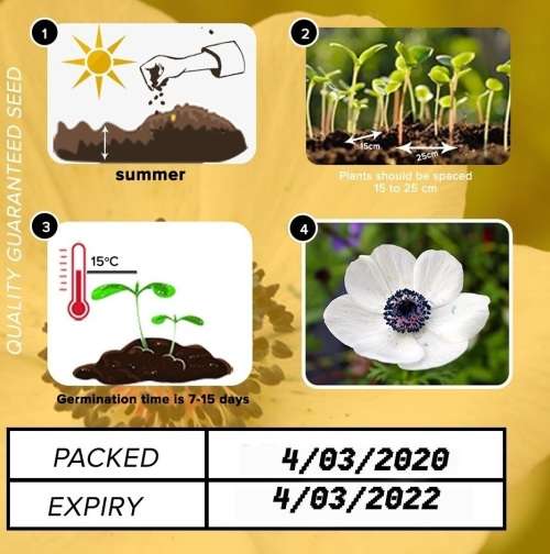 Poppy (Mixed Colours) Seeds