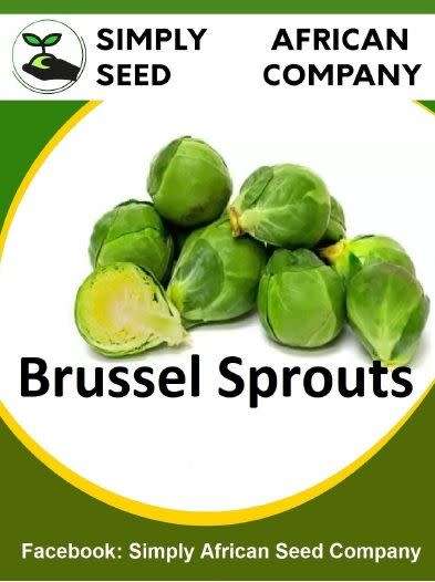 Brussels Sprouts Seeds