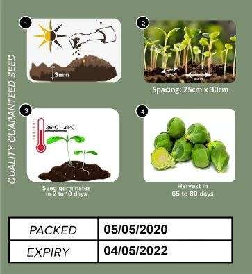 Brussels Sprouts Seeds