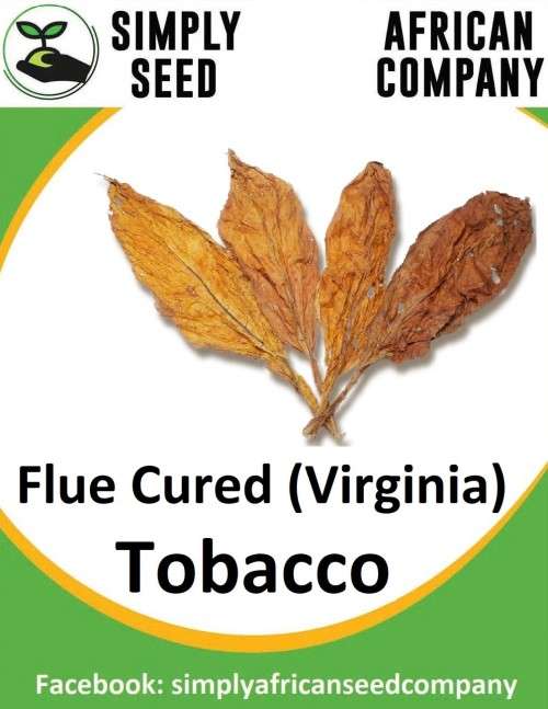 Tobacco Virginia Flue Cured Seeds