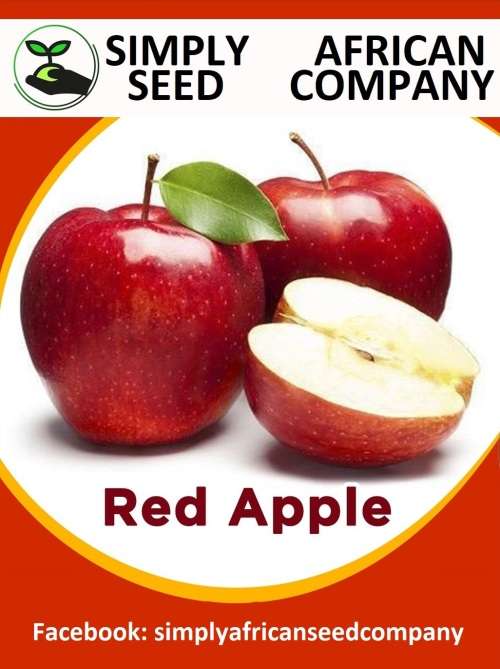 Red Apple Seeds