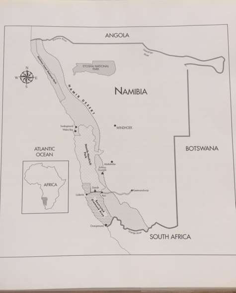 The Wild Horses of Namibia