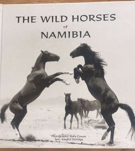 The Wild Horses of Namibia