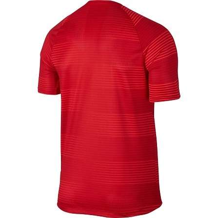 Original Mens NIKE Short Sleeve Dri-Fit Flash GPX - Large - 725910-657