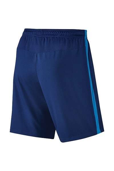 Original Mens NIKE DRI FIT Squad Shorts - Large - 807682-455