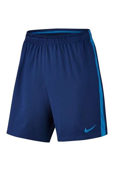 Original Mens NIKE DRI FIT Squad Shorts - Large - 807682-455