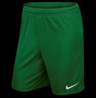 Original Mens NIKE DRI FIT Park II Knit Shorts - Large - 725887-302