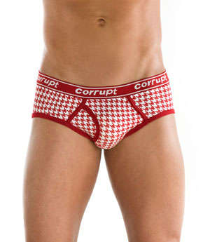 Corrupt Shakedowns Briefs